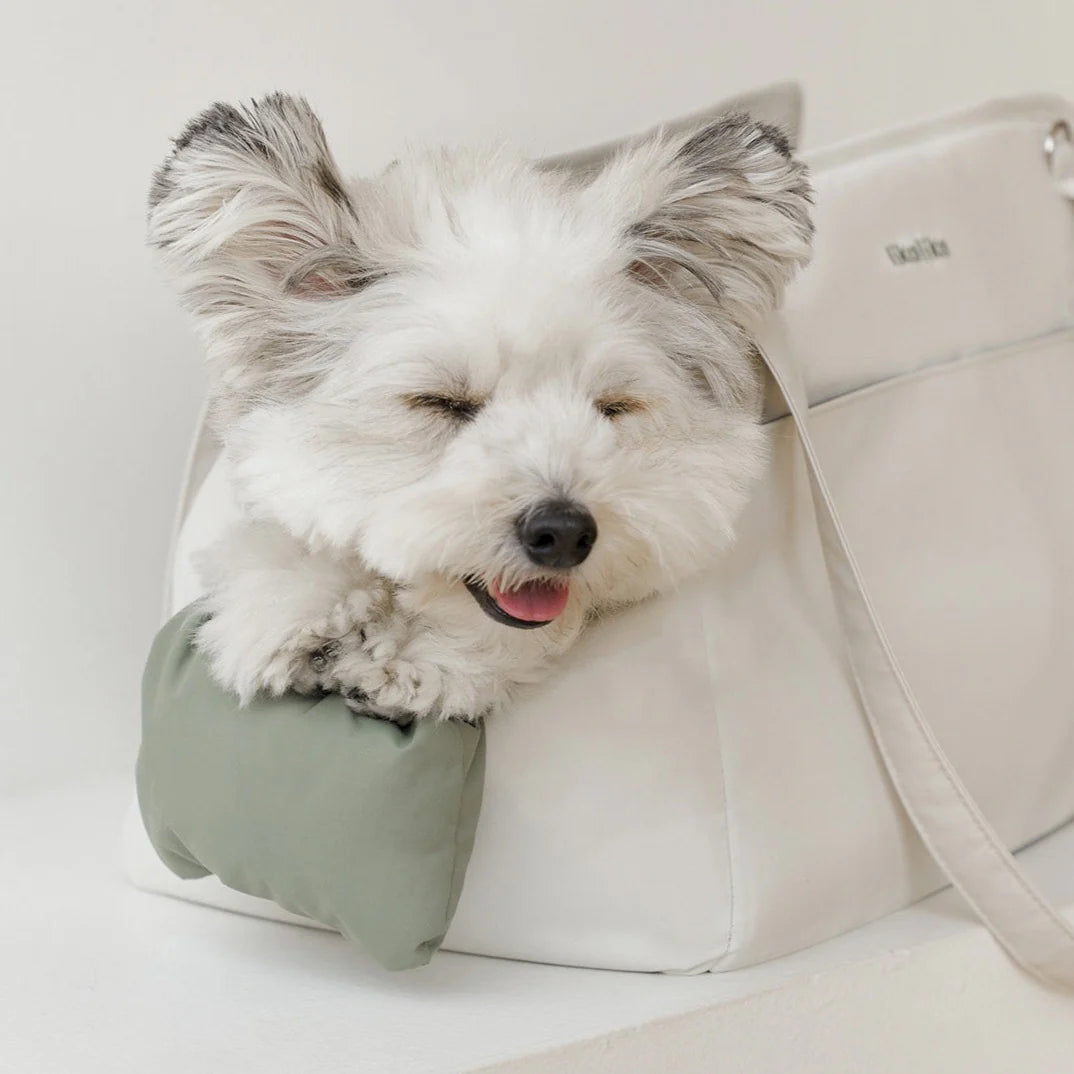 Cushion Bag Pet Carrier (3 Colors)